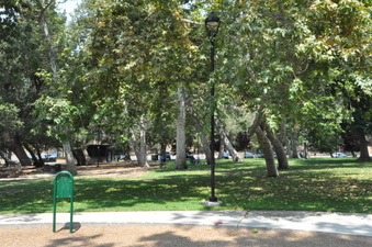 Enlarge photo 65