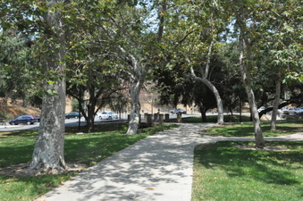 Enlarge photo 66