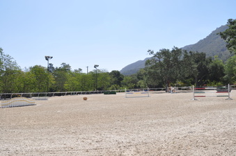 Enlarge photo 7
