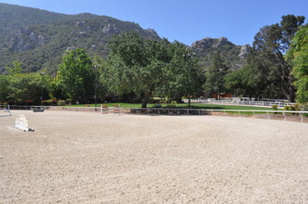 Enlarge photo 10