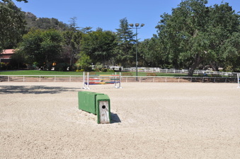 Enlarge photo 15