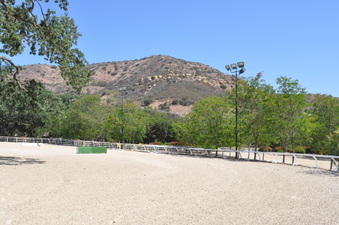 Enlarge photo 21