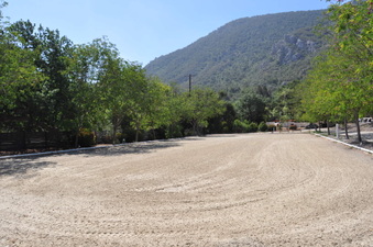 Enlarge photo 9