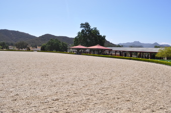 Enlarge photo 13