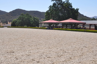 Enlarge photo 14