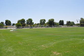 Enlarge photo 51