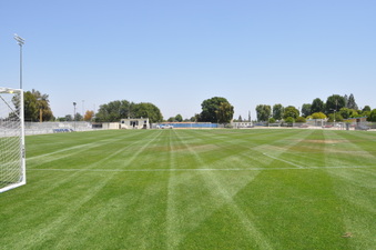 Enlarge photo 57