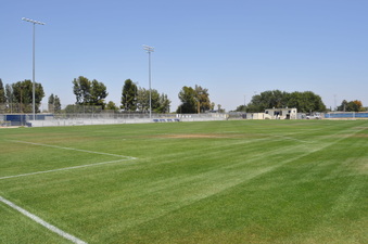Enlarge photo 59