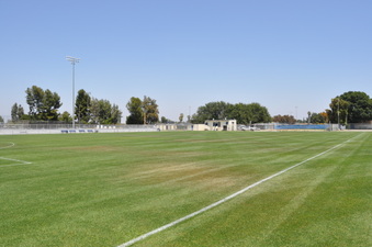 Enlarge photo 60