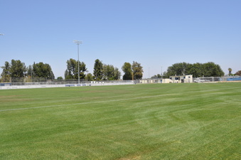 Enlarge photo 62