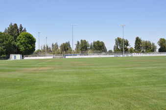 Enlarge photo 63