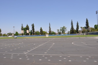 Enlarge photo 112