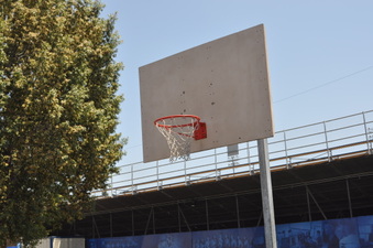 Enlarge photo 115