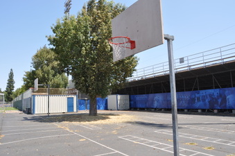 Enlarge photo 117