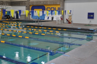 Enlarge photo 98