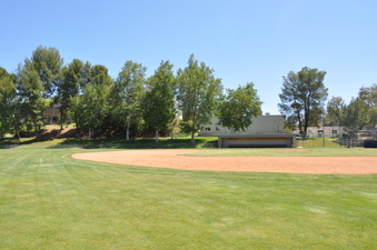 Enlarge photo 115