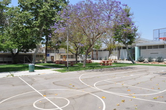 Enlarge photo 15