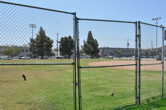 Enlarge photo 32