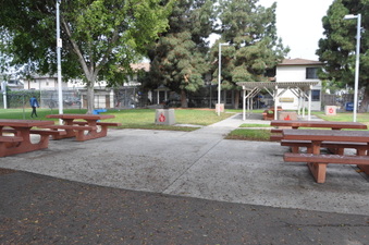Enlarge photo 3