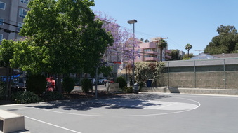 Enlarge photo 1