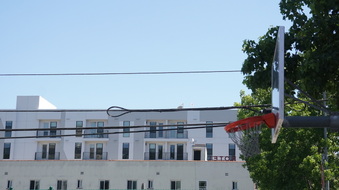 Enlarge photo 7