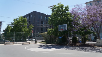 Enlarge photo 9