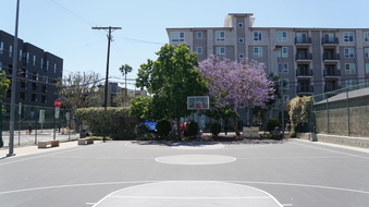 Enlarge photo 13