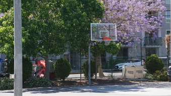 Enlarge photo 21