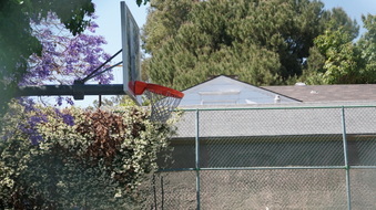 Enlarge photo 23