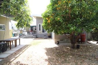 Enlarge photo 28