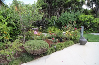 Enlarge photo 32