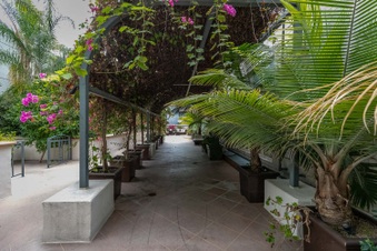 Enlarge photo 21