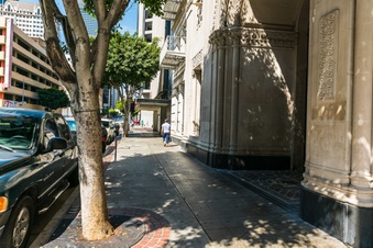 Enlarge photo 35