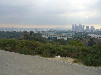 Enlarge photo 5