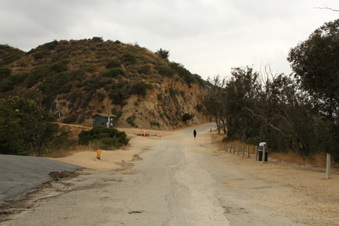 Enlarge photo 20