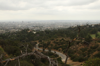 Enlarge photo 19