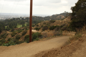 Enlarge photo 23