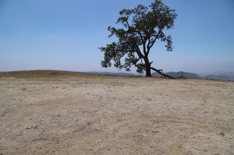 JOUGHIN RANCH