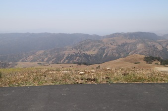 Enlarge photo 21