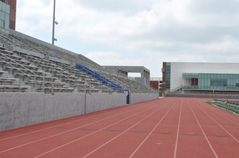 EL CAMINO TRACK / SHELLY ANN