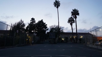 Enlarge photo 20