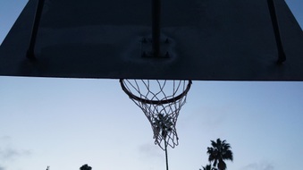 Enlarge photo 21