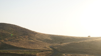 Enlarge photo 25