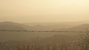 Enlarge photo 26