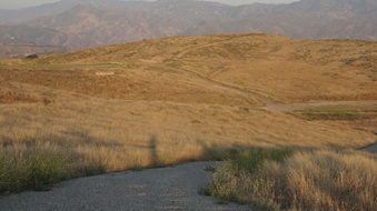 Enlarge photo 32