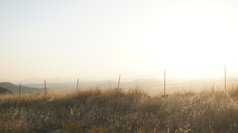 Enlarge photo 33
