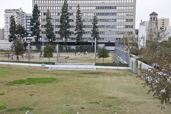 Enlarge photo 21