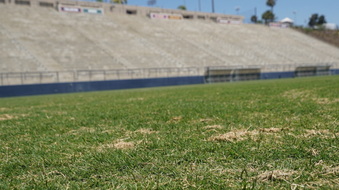 Enlarge photo 38