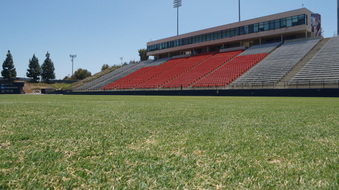 Enlarge photo 41