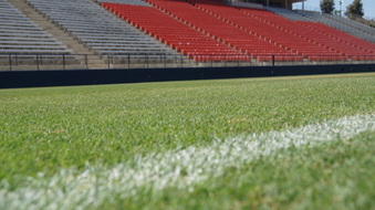 Enlarge photo 72
